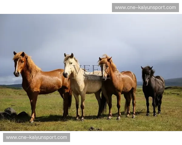 斗牛士的探戈与冰岛的冰川：一场跨越山海的足球诗篇